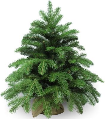 Ель искусственная Beatrees Anson, 0,6 м