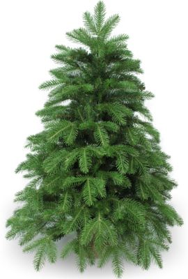 Ель искусственная Beatrees Anson, 0,9 м