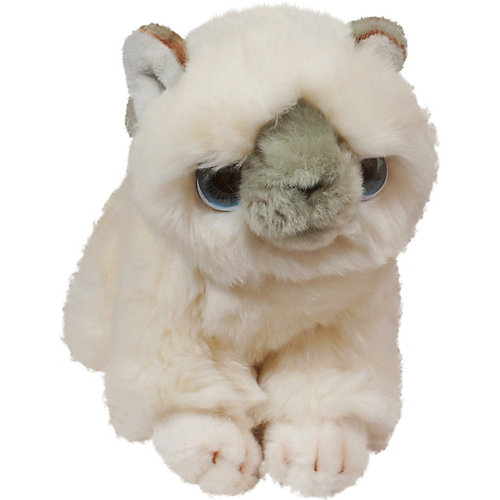 Мягкая игрушка Keel toys Signature Котенок, 30 см от Keel Toys