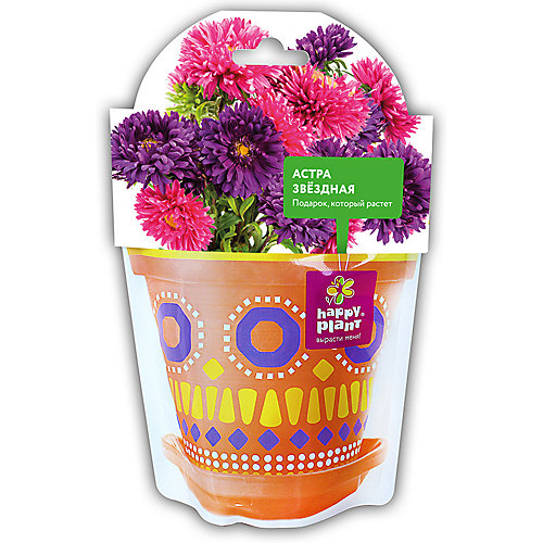 Набор для выращивания Happy Plant Астра звездная от Happy Plant
