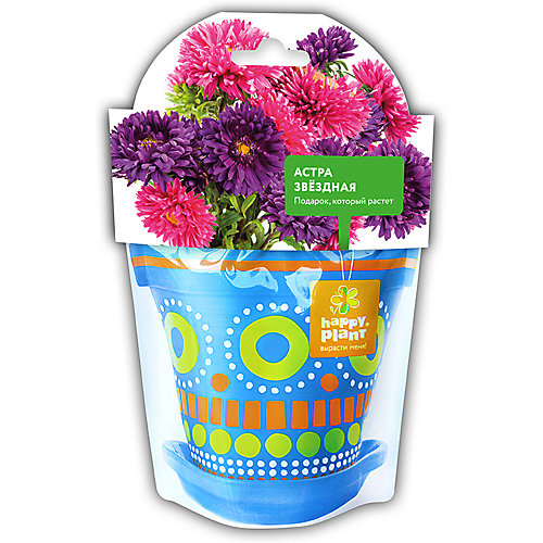 Набор для выращивания Happy Plant Астра звездная от Happy Plant