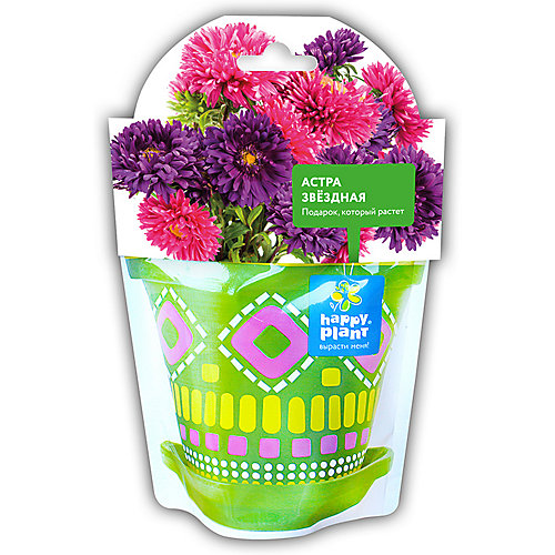 Набор для выращивания Happy Plant Астра звездная от Happy Plant