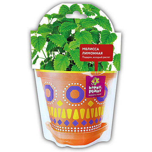 Набор для выращивания Happy Plant Мелисса лимонная от Happy Plant