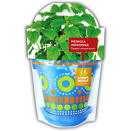 Набор для выращивания Happy Plant Мелисса лимонная от Happy Plant