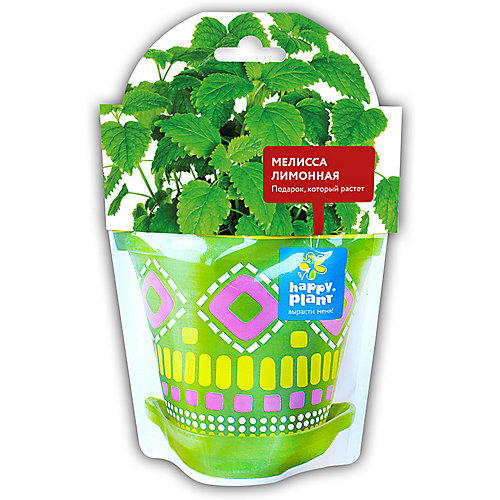Набор для выращивания Happy Plant Мелисса лимонная от Happy Plant