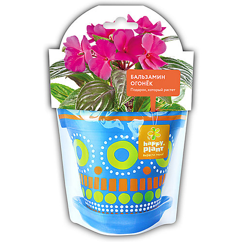 Набор для выращивания Happy Plant Бальзамин огонек от Happy Plant