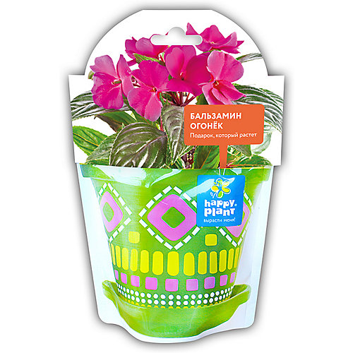 Набор для выращивания Happy Plant Бальзамин огонек от Happy Plant