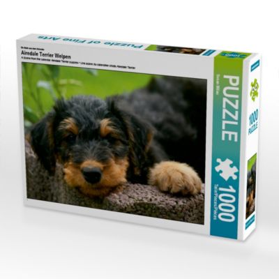 Airedale Terrier Welpen Foto Puzzle Bild Von Susan Milau Puzzle Calvendo Mytoys