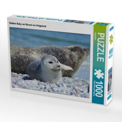 Robben Baby Am Strand Von Helgoland Lege Grosse 64 X 48 Cm Foto Puzzle Bild Von Kattobello Puzzle Calvendo Mytoys