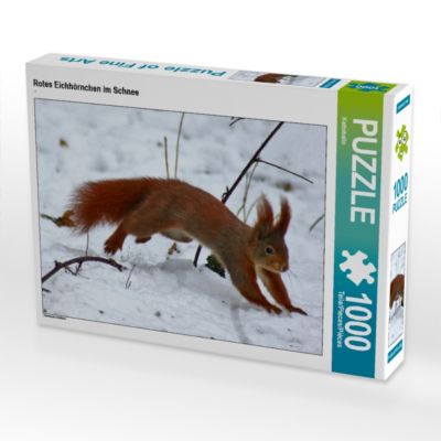 Rotes Eichhörnchen im Schnee 1000 Teile Lege-Größe 64 x 48 cm Foto-Puzzle Bild 