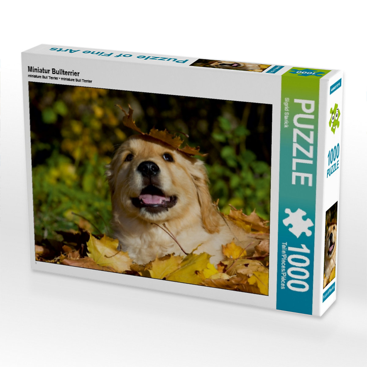 CALVENDO® Puzzle CALVENDO Puzzle Miniatur Bullterrier 1000 Teile Foto-Puzzle für glückliche Stunden