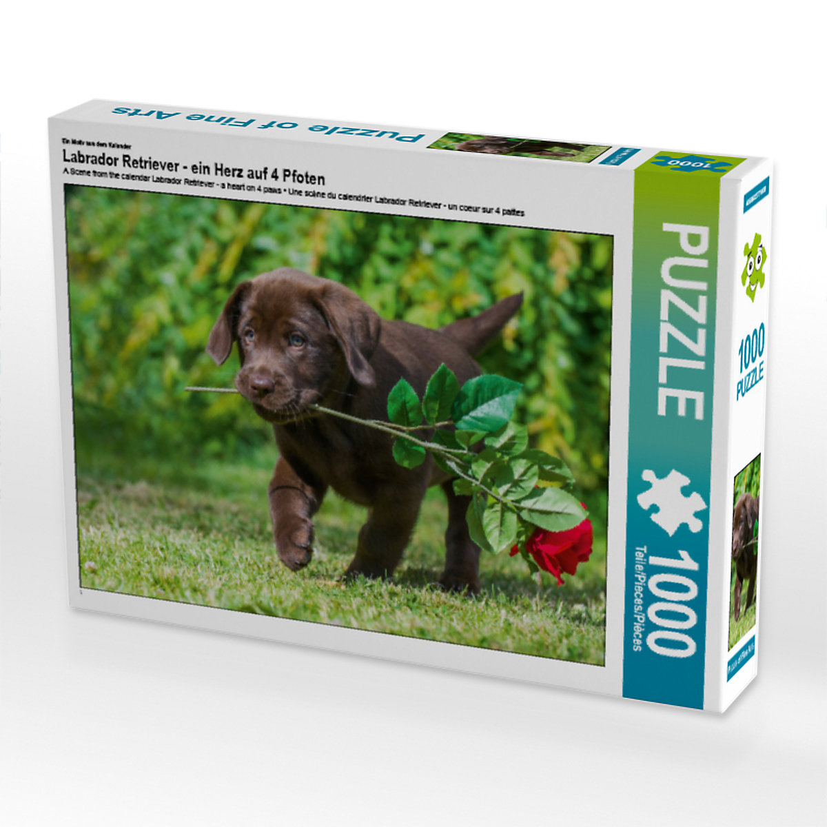 CALVENDO® Puzzle CALVENDO Puzzle Labrador Retriever ein Herz auf 4 Pfoten 1000 Teile Foto-Puzzle für glückliche Stunden