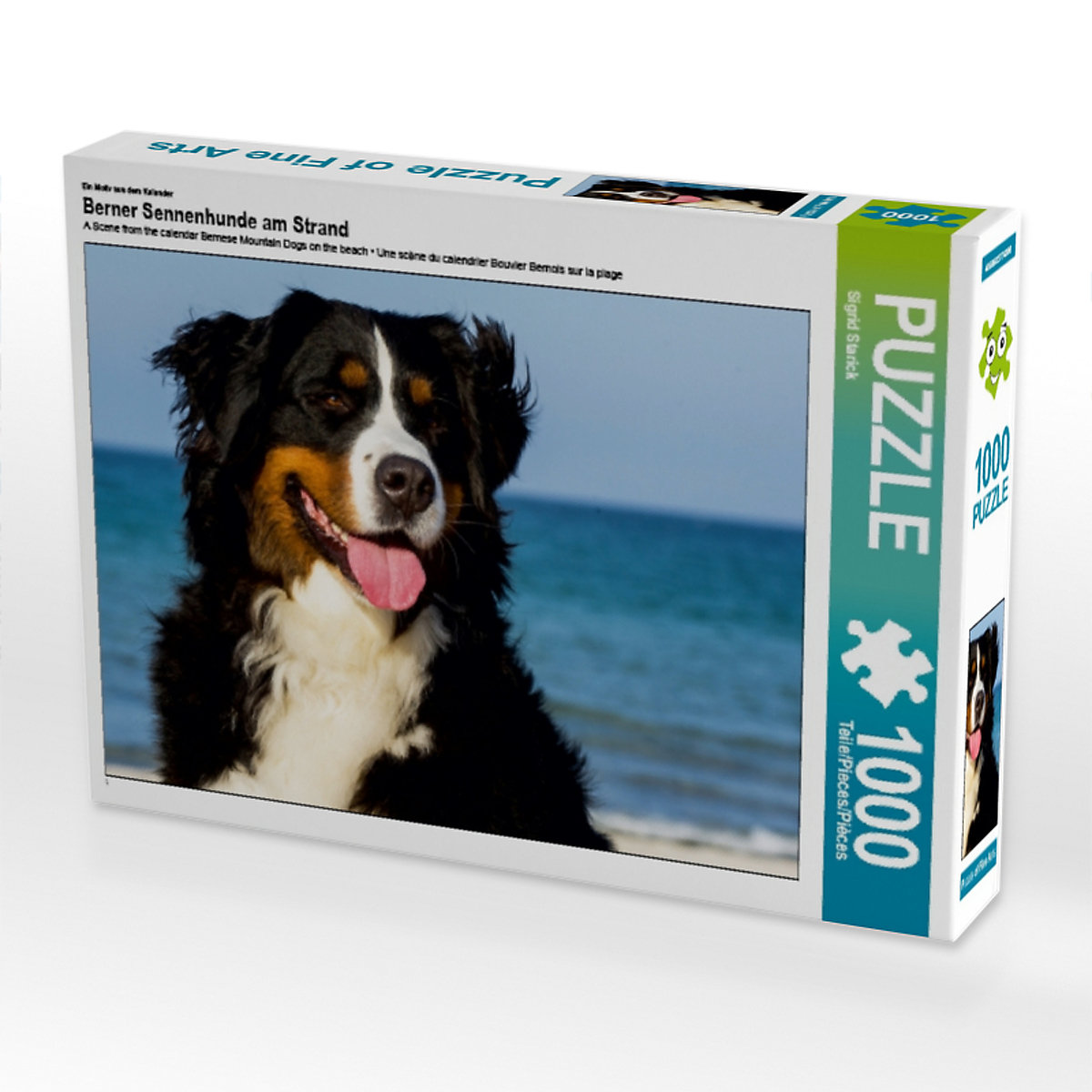 CALVENDO® Puzzle CALVENDO Puzzle Berner Sennenhunde am Strand 1000 Teile Foto-Puzzle für glückliche Stunden