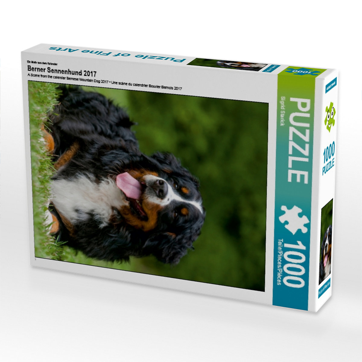 CALVENDO® Puzzle CALVENDO Puzzle Berner Sennenhund 2017 1000 Teile Foto-Puzzle für glückliche Stunden