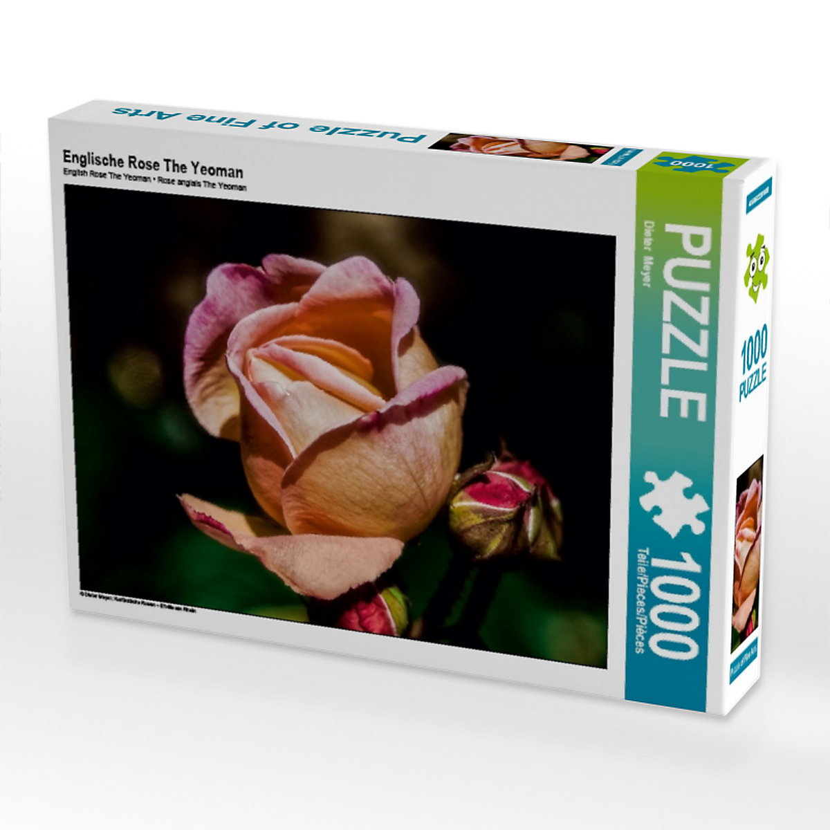 CALVENDO® Puzzle CALVENDO Puzzle Englische Rose The Yeoman 1000 Teile Foto-Puzzle für glückliche Stunden