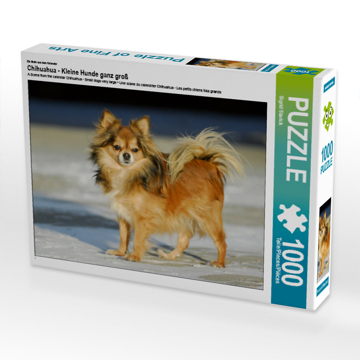 CALVENDO® Puzzle CALVENDO Puzzle Chihuahua Kleine Hunde ganz groß 1000 Teile Foto-Puzzle für glückliche Stunden