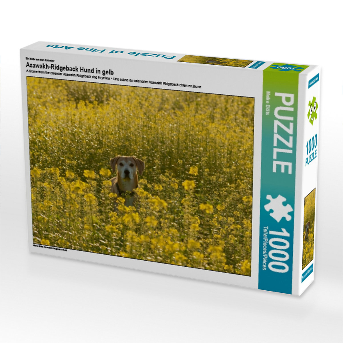 CALVENDO® Puzzle CALVENDO Puzzle Azawakh-Ridgeback Hund in gelb 1000 Teile Foto-Puzzle für glückliche Stunden