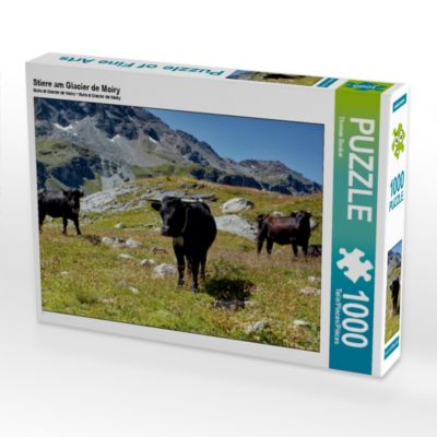 CALVENDO® Puzzle CALVENDO Puzzle Stiere am Glacier de Moiry 1000 Teile Foto-Puzzle für glückliche Stunden