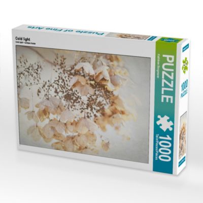 CALVENDO® Puzzle CALVENDO Puzzle Cold light 1000 Teile Foto-Puzzle für glückliche Stunden