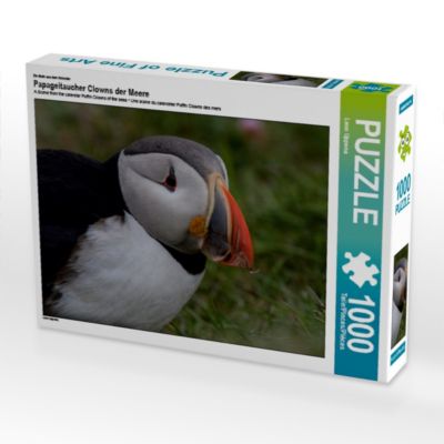 CALVENDO® Puzzle CALVENDO Puzzle Papageitaucher Clowns der Meere 1000 Teile Foto-Puzzle für glückliche Stunden