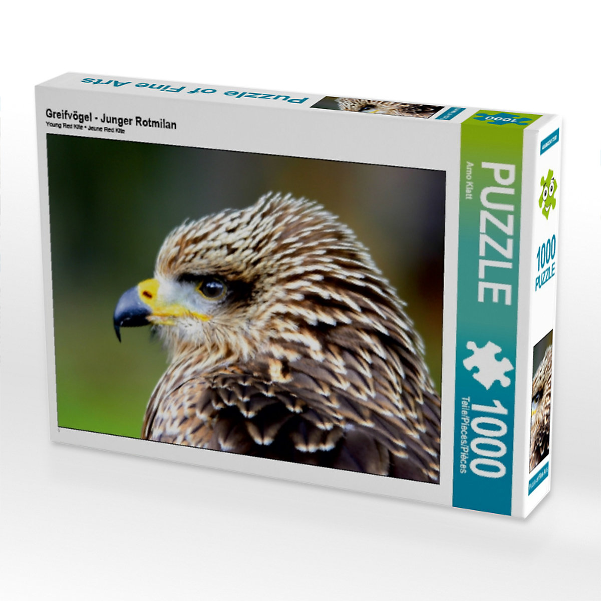CALVENDO® Puzzle CALVENDO Puzzle Greifvögel Junger Rotmilan 1000 Teile Foto-Puzzle für glückliche Stunden