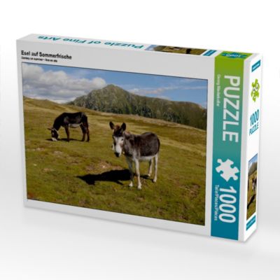 Esel auf Sommerfrische 1000 Teile Puzzle quer 4056502750642 