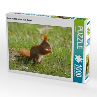 CALVENDO® Puzzle CALVENDO Puzzle Rotes Eichhörnchen beim Dinner 1000 Teile Foto-Puzzle für glückliche Stunden