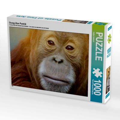 CALVENDO® Puzzle CALVENDO Puzzle Orang Utan Porträt 1000 Teile Foto-Puzzle für glückliche Stunden
