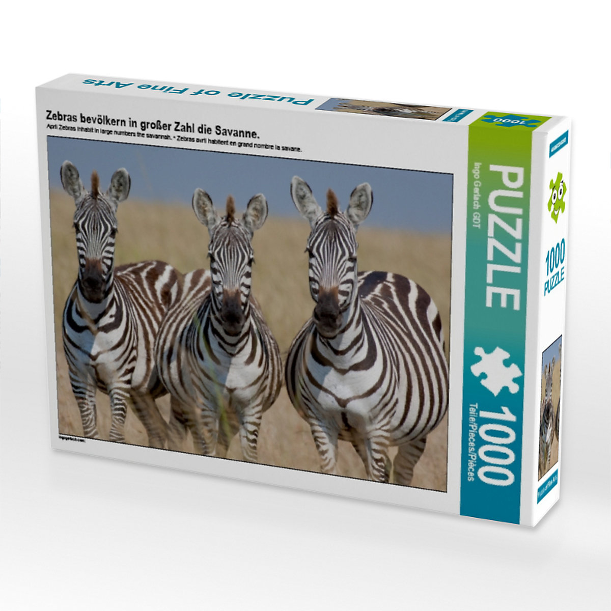 CALVENDO® Puzzle CALVENDO Puzzle Zebras bevölkern in großer Zahl die Savanne. 1000 Teile Foto-Puzzle für glückliche Stunden