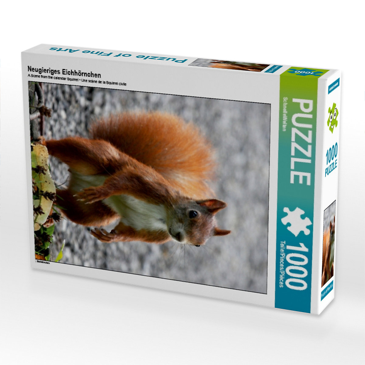 CALVENDO® Puzzle CALVENDO Puzzle Neugieriges Eichhörnchen 1000 Teile Foto-Puzzle für glückliche Stunden