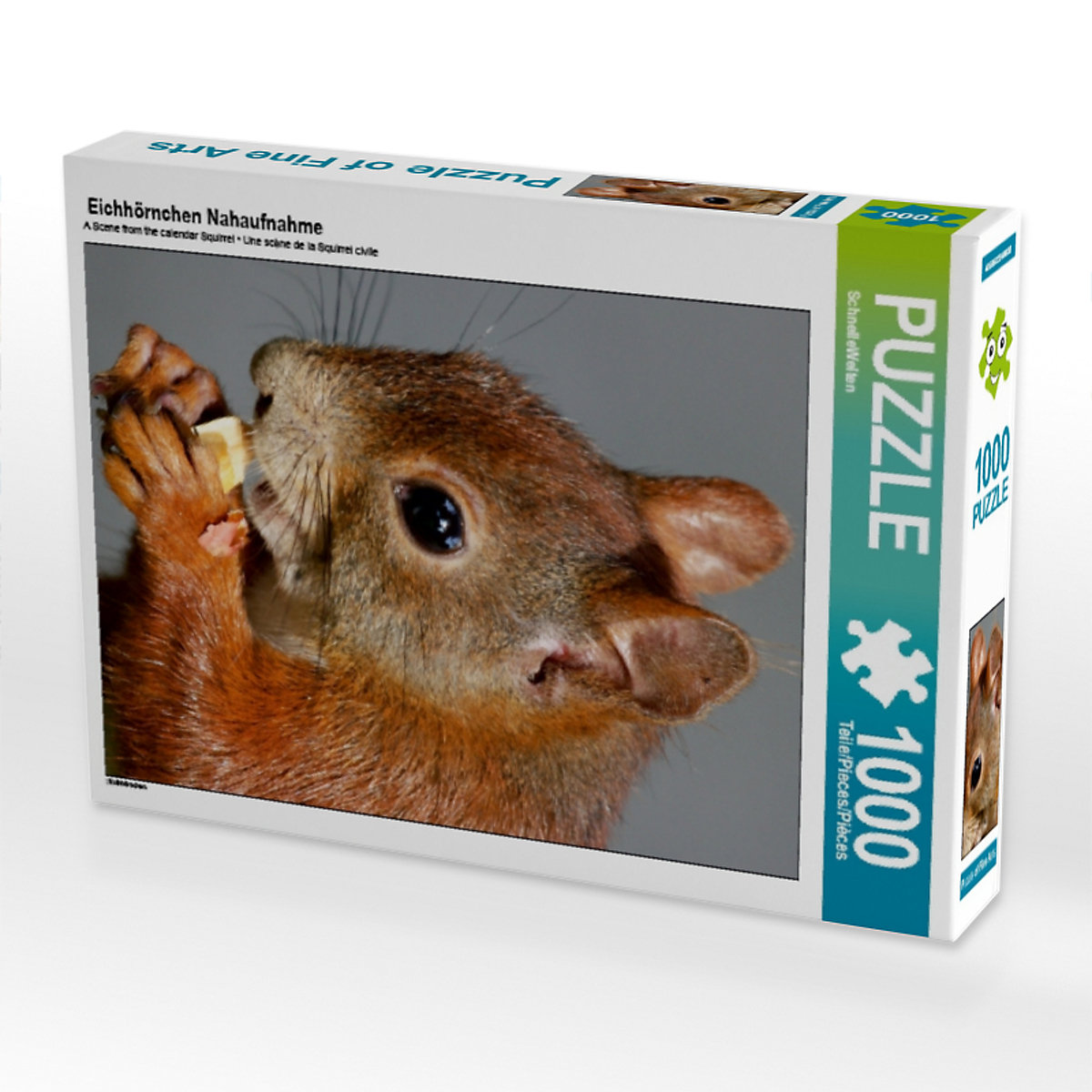 CALVENDO® Puzzle CALVENDO Puzzle Eichhörnchen Nahaufnahme 1000 Teile Foto-Puzzle für glückliche Stunden