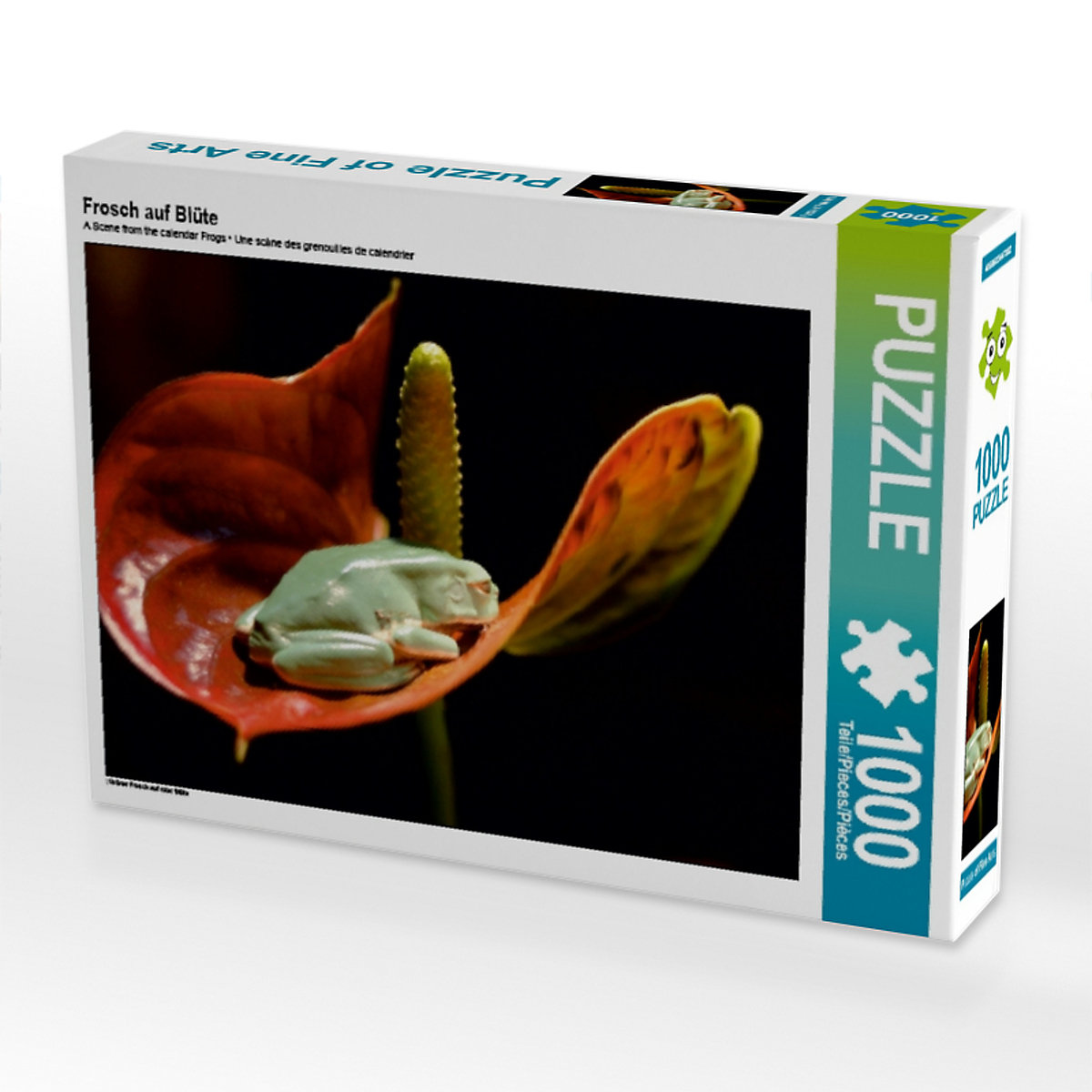 CALVENDO® Puzzle CALVENDO Puzzle Frosch auf Blüte 1000 Teile Foto-Puzzle für glückliche Stunden