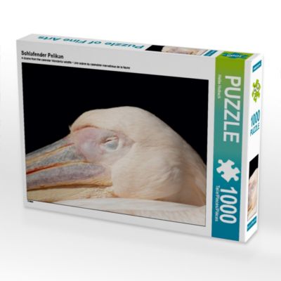 CALVENDO® Puzzle CALVENDO Puzzle Schlafender Pelikan 1000 Teile Foto-Puzzle für glückliche Stunden