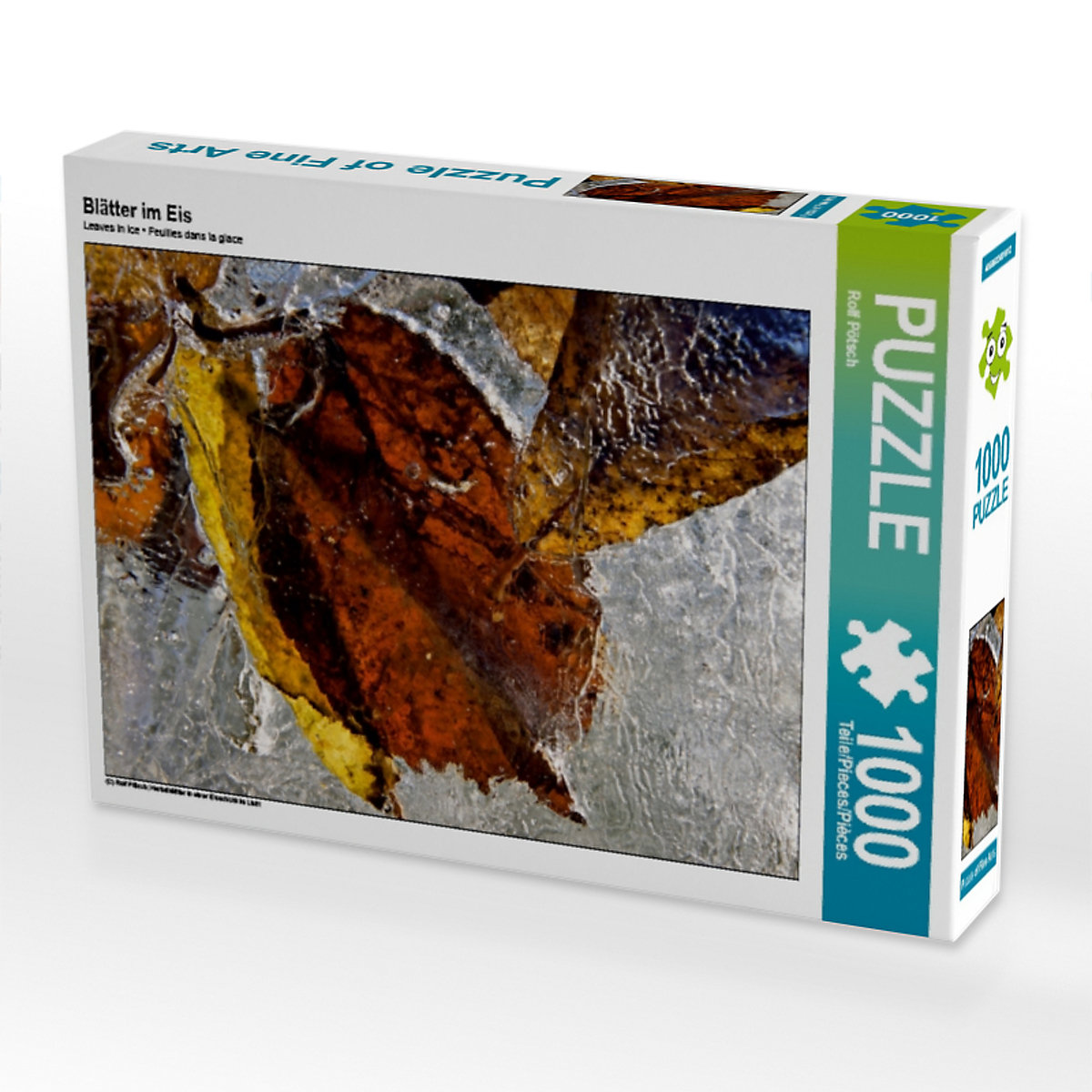 CALVENDO® Puzzle CALVENDO Puzzle Blätter im Eis 1000 Teile Foto-Puzzle für glückliche Stunden