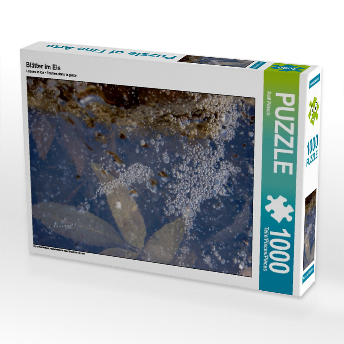CALVENDO® Puzzle CALVENDO Puzzle Blätter im Eis 1000 Teile Foto-Puzzle für glückliche Stunden