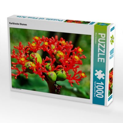 CALVENDO® Puzzle CALVENDO Puzzle Karibische Blumen 1000 Teile Foto-Puzzle für glückliche Stunden