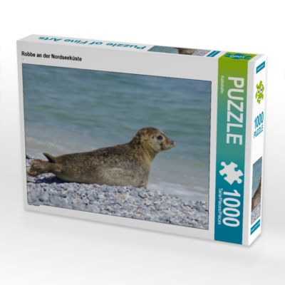 CALVENDO® Puzzle CALVENDO Puzzle Robbe an der Nordseeküste 1000 Teile Foto-Puzzle für glückliche Stunden