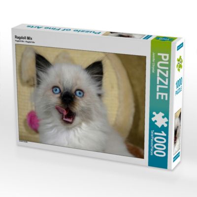 CALVENDO® Puzzle CALVENDO Puzzle Ragdoll Mix 1000 Teile Foto-Puzzle für glückliche Stunden