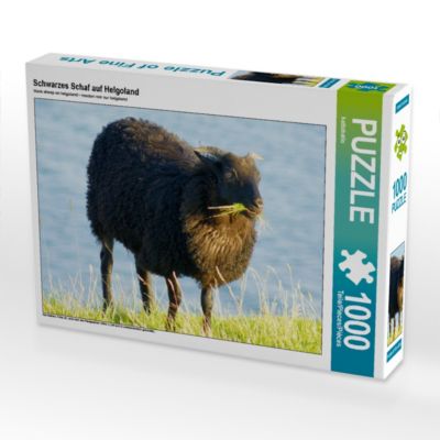 CALVENDO® Puzzle CALVENDO Puzzle Schwarzes Schaf auf Helgoland 1000 Teile Foto-Puzzle für glückliche Stunden