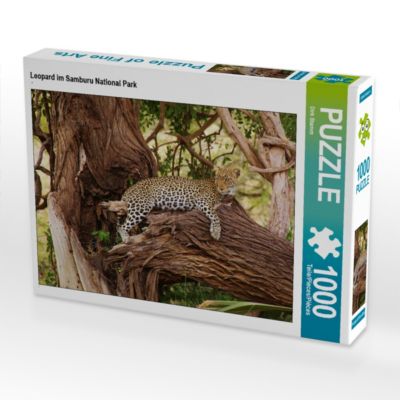 CALVENDO® Puzzle CALVENDO Puzzle Leopard im Samburu National Park 1000 Teile Foto-Puzzle für glückliche Stunden