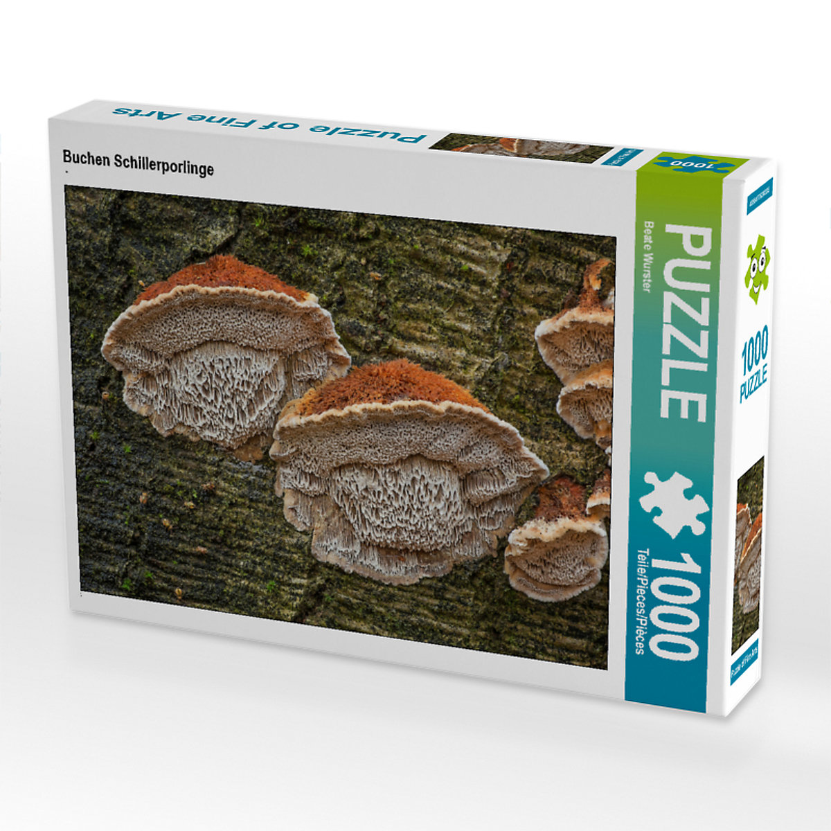 CALVENDO® Puzzle CALVENDO Puzzle Buchen Schillerporlinge 1000 Teile Foto-Puzzle für glückliche Stunden