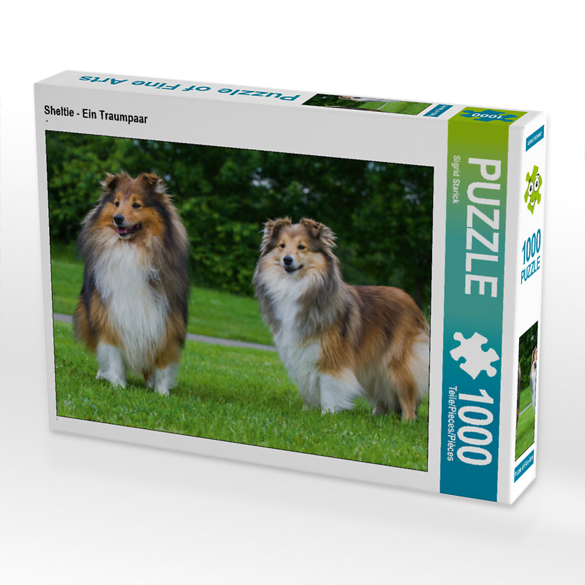 CALVENDO® Puzzle CALVENDO Puzzle Sheltie Ein Traumpaar 1000 Teile Foto-Puzzle für glückliche Stunden CALVENDO® Puzzle CALVENDO Puzzle Sheltie Ein Traumpaar 1000 Teile Foto-Puzzle für glückliche Stunden