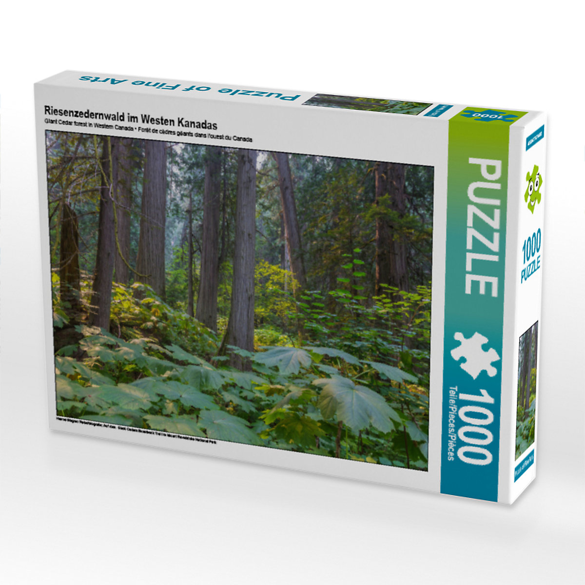 CALVENDO® Puzzle CALVENDO Puzzle Riesenzedernwald im Westen Kanadas 1000 Teile Foto-Puzzle für glückliche Stunden
