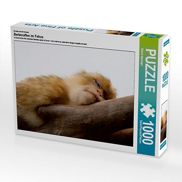 Puzzle CALVENDO Puzzle Ruhender Berberaffe - 1000 Teile Foto-Puzzle für glückliche Stunden