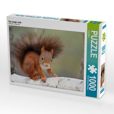 CALVENDO® Puzzle CALVENDO Puzzle Der junge Jack 1000 Teile Foto-Puzzle für glückliche Stunden