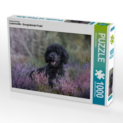 CALVENDO® Puzzle CALVENDO Puzzle Lockenwölfe Energiebündel Pudel 1000 Teile Foto-Puzzle für glückliche Stunden