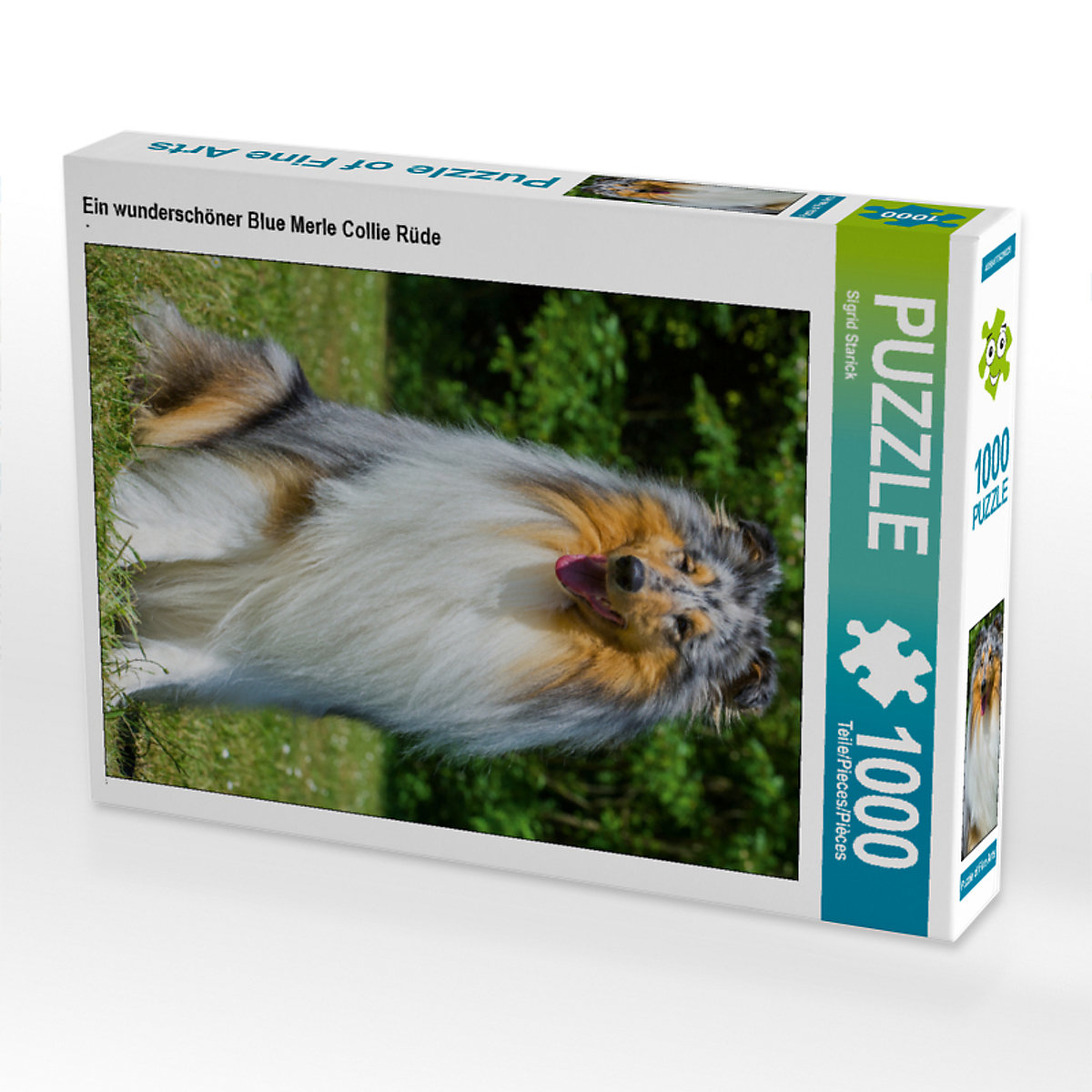 CALVENDO® Puzzle CALVENDO Puzzle Ein wunderschöner Blue Merle Collie Rüde 1000 Teile Foto-Puzzle für glückliche Stunden