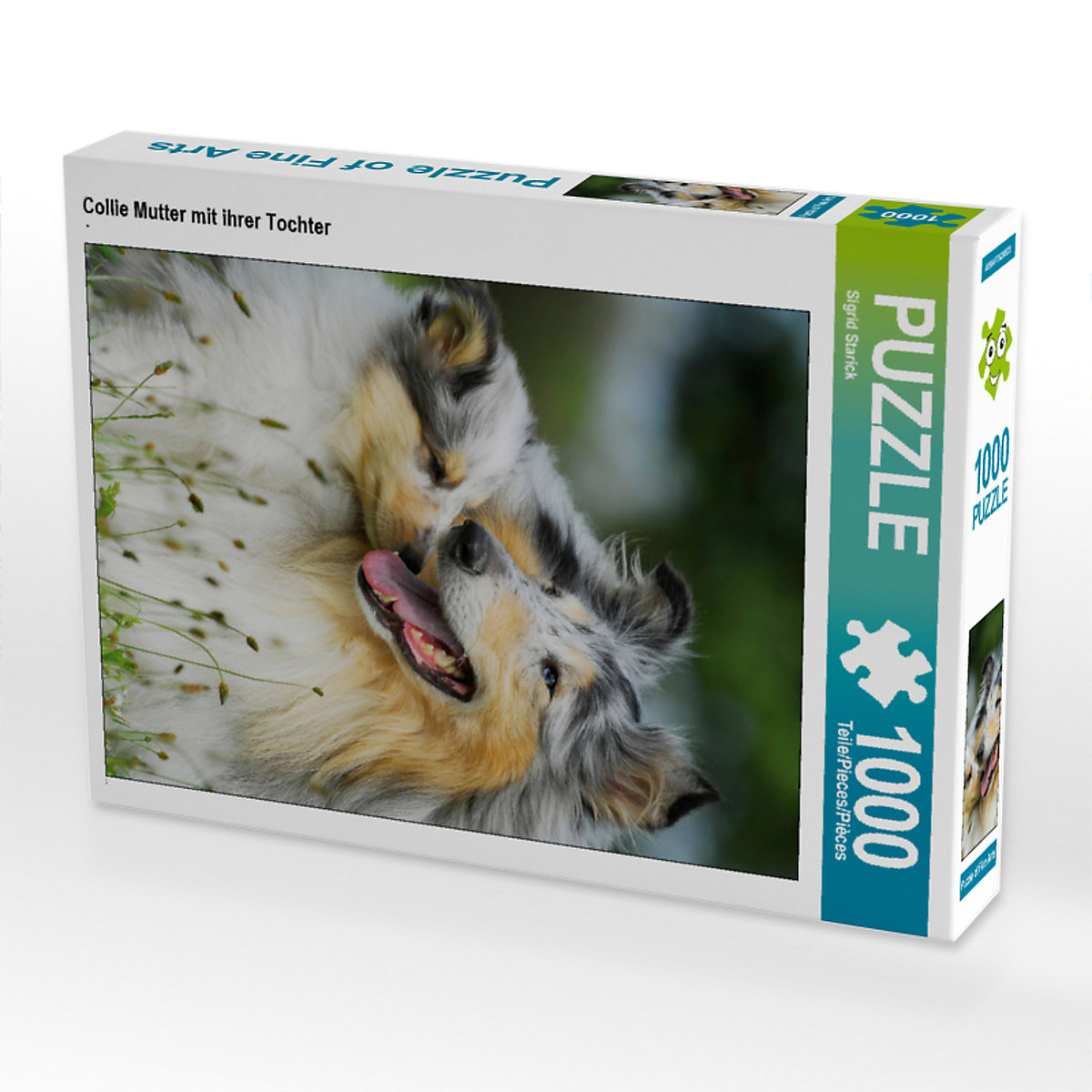 CALVENDO® Puzzle CALVENDO Puzzle Collie Mutter mit ihrer Tochter 1000 Teile Foto-Puzzle für glückliche Stunden