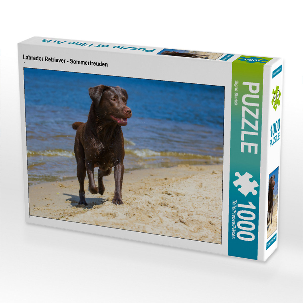 CALVENDO® Puzzle CALVENDO Puzzle Labrador Retriever Sommerfreuden 1000 Teile Foto-Puzzle für glückliche Stunden
