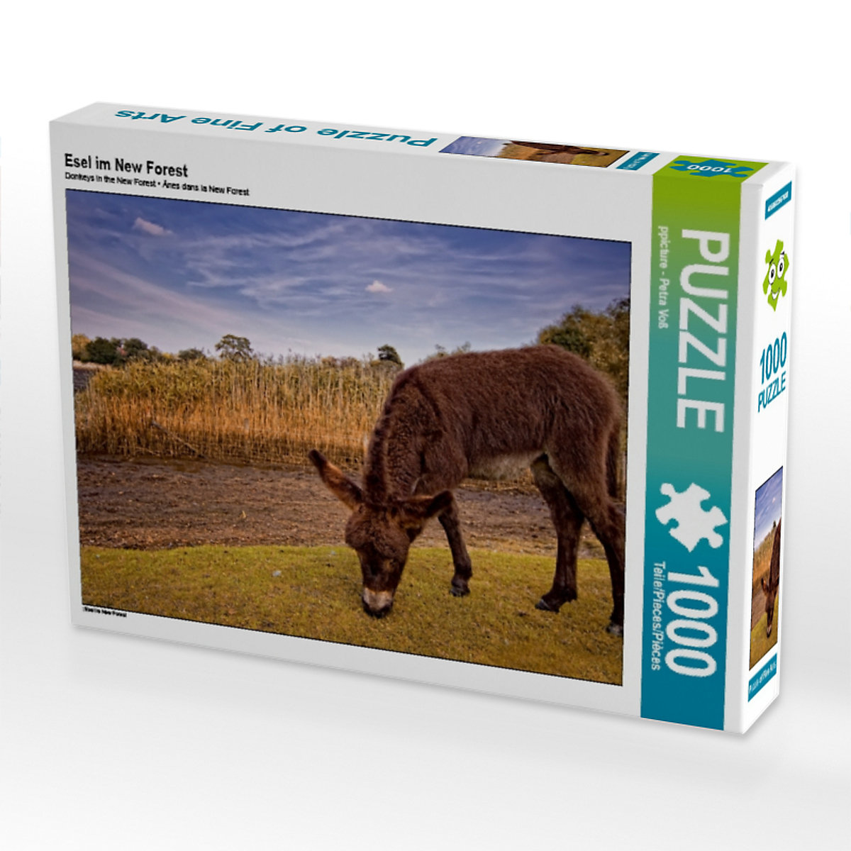 CALVENDO® Puzzle CALVENDO Puzzle Esel im New Forest 1000 Teile Foto-Puzzle für glückliche Stunden